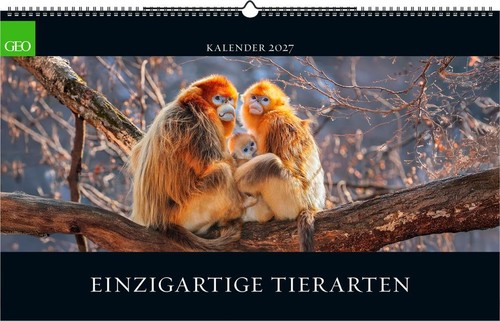 Geo einzigartige tierarten - geo,